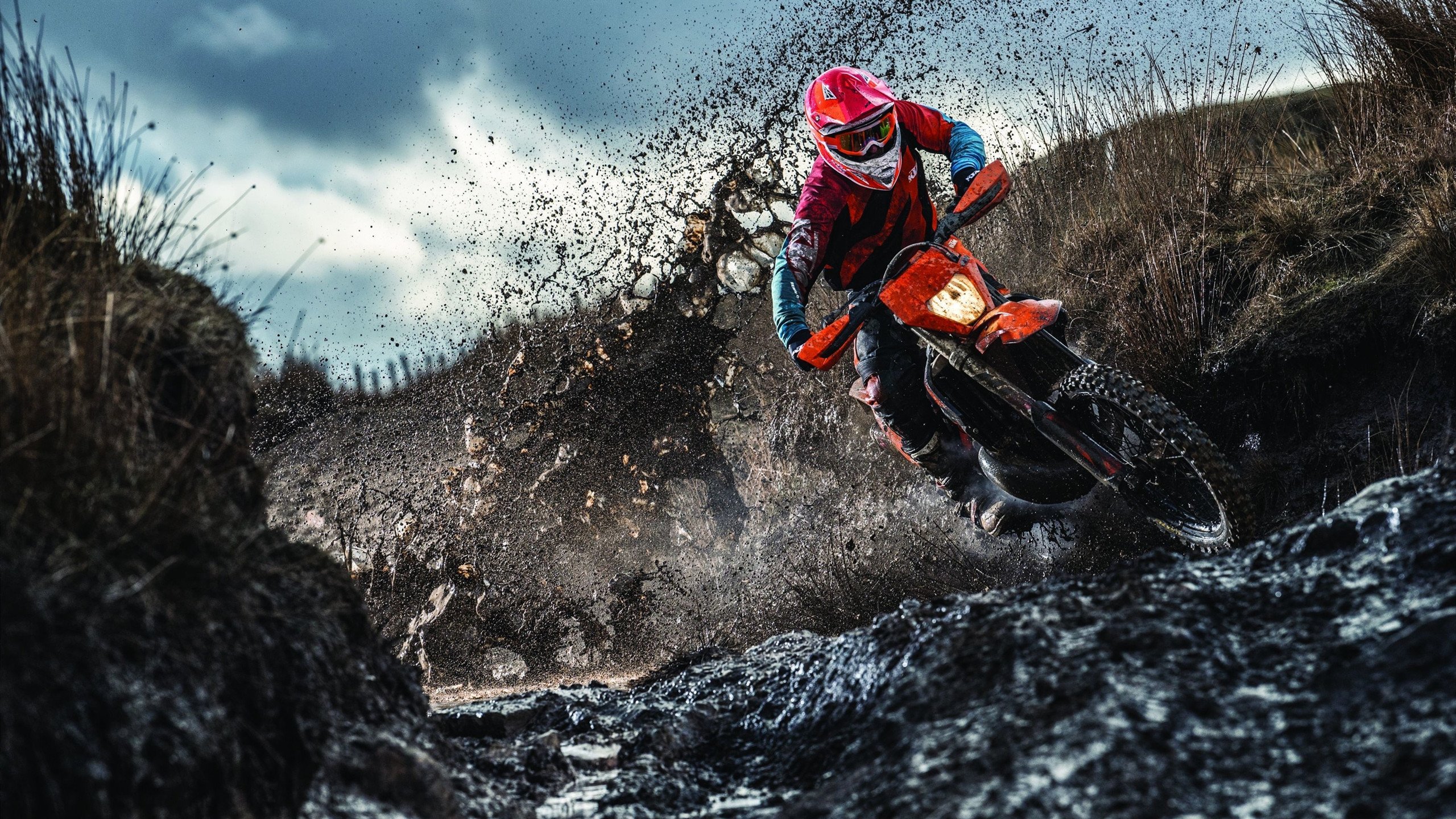 未来赛季展望：谁即将成为下一个“巨星”？